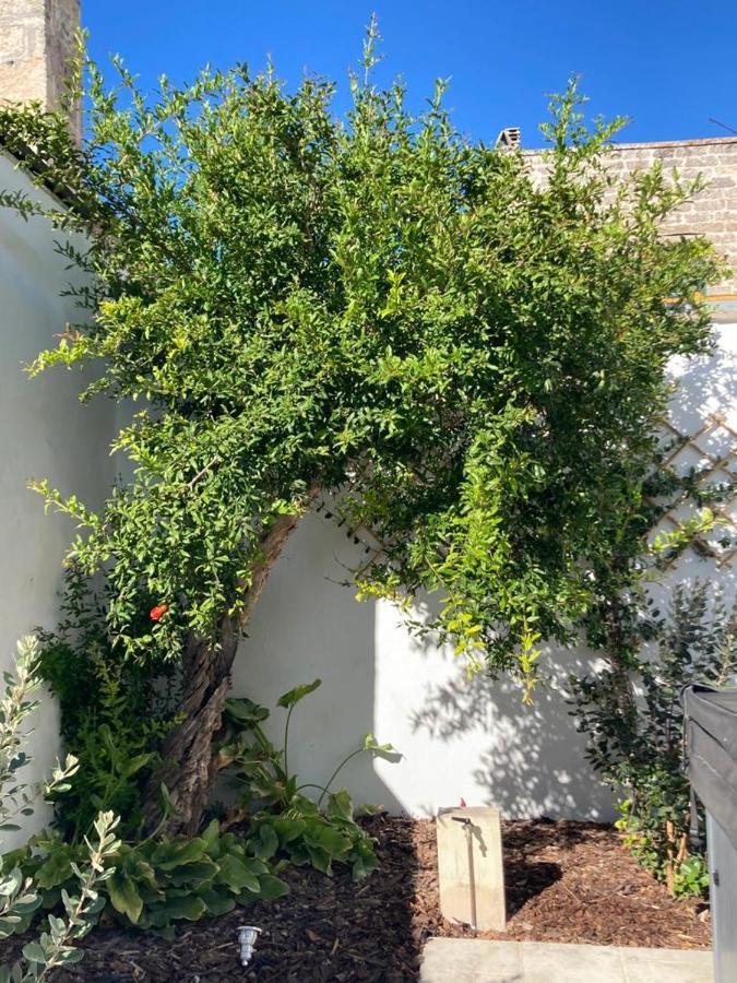 Il Palmento B&B Palmariggi Ngoại thất bức ảnh